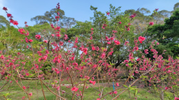 国足1-1战平阿曼队，出线更加渺茫