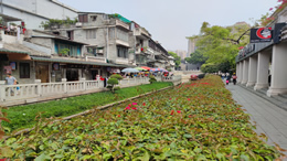 都市情感剧《追爱家族》于27日晚在江苏卫视开播