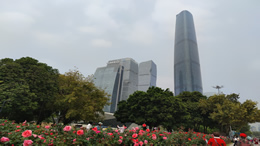 张艺谋的新片《坚如磐石》预告片发布